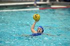 WWPolo vs CC  Wheaton College Women’s Water Polo compete in their sports inaugural match vs Connecticut College. - Photo By: KEITH NORDSTROM : Wheaton, water polo, inaugural